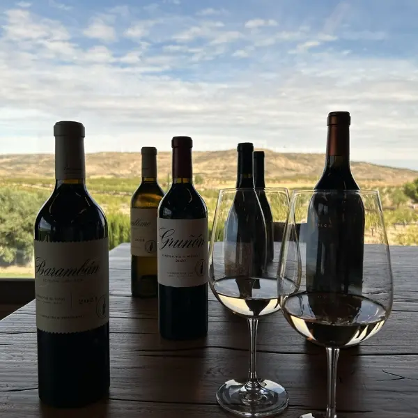 cata de vinos alto moncayo